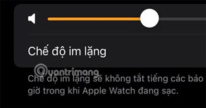 Cách chỉnh âm lượng Apple Watch, chỉnh âm thanh to nhỏ Apple Watch