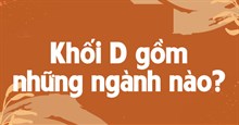 Khối D01 thi môn nào, học ngành nào?