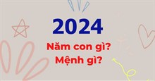 Năm 2024 là năm con gì? Năm 2024 mệnh gì?