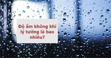Độ ẩm không khí lý tưởng là bao nhiêu? Độ ẩm không khí phù hợp cho trẻ sơ sinh?
