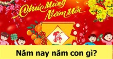 Năm nay năm con gì? 2026 là năm con gì? Tết gì?