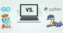 Sự khác biệt giữa Go và Python