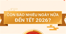 Còn bao nhiêu ngày nữa đến Tết 2026? Đếm ngược Tết Bính Ngọ